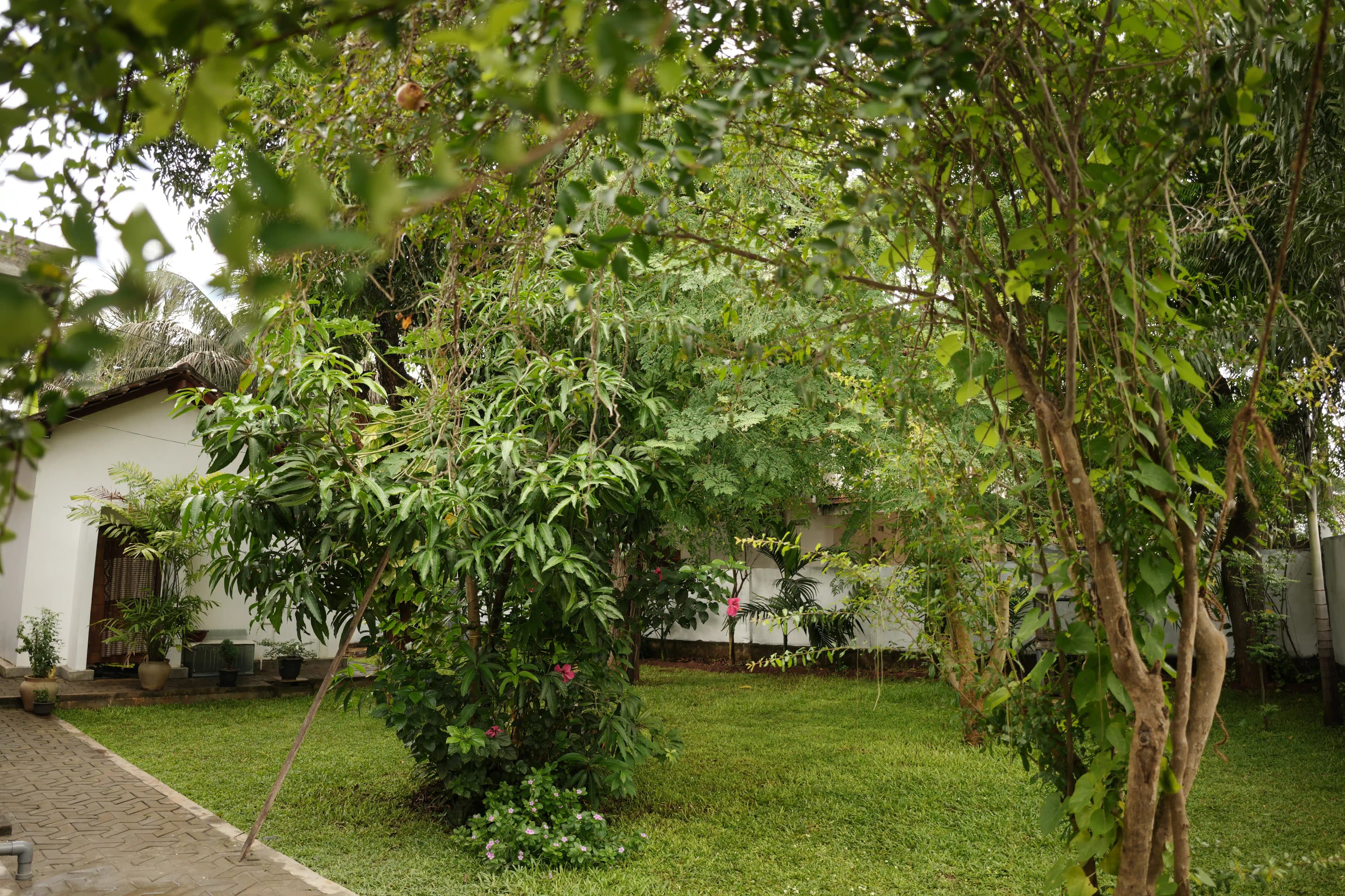 room-image-13